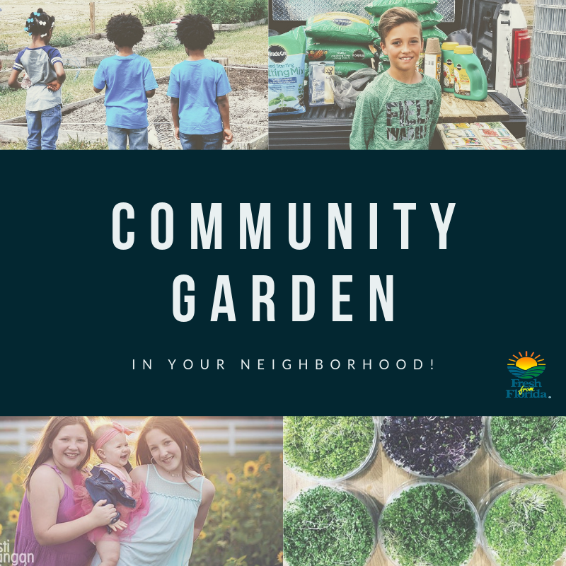 Winter/Spring  Season Community Garden Registration