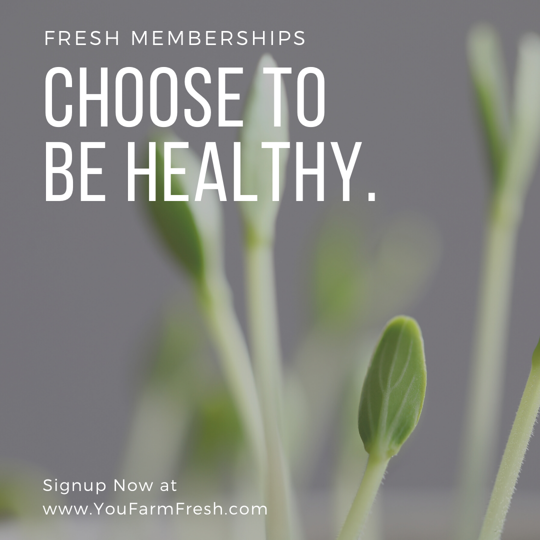 Monthly Fresh Memberships