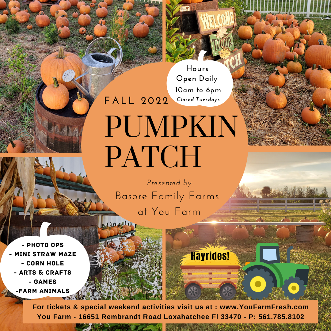 2022 Pumpkin Patch Entry Info